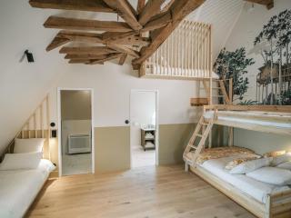 Charme Authentique du XIVe siècle avec WiFi et Parking à Contigny - FR-1-489-621 - 9