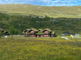 Cabin By Main Ski Trail At Norefjell - 0