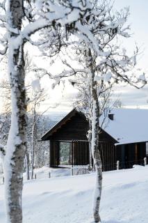 Architect-Designed Cabin With Ski Trail Near Geilo - 8