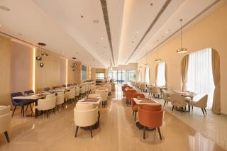 Skywings Sarovar Portico Mathura - 1