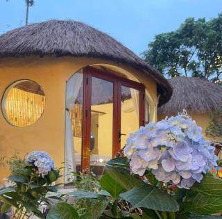 Peaceful - Nature - Green trees - Lake - Beautiful house - 7