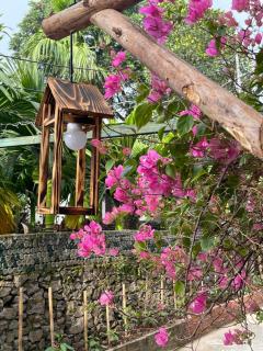 Peaceful - Nature - Green trees - Lake - Beautiful house - 4