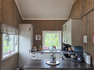 Mountain Cabin With Ski Access In Høgevarde - 6