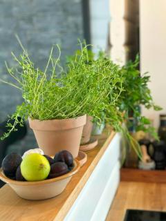 Summer House With Beautiful Interior Details - 4