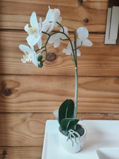 Beautiful house near airport! - 4