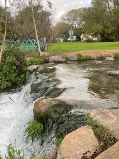Rivers view in kibbutz Dafna - 7