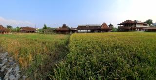 Alamanda Family Villas, Pool & Local Tours - 4