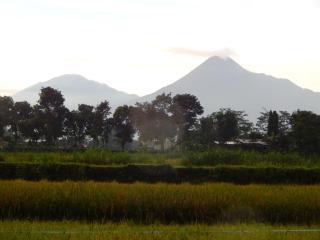 Alamanda Family Villas, Pool & Local Tours - 5