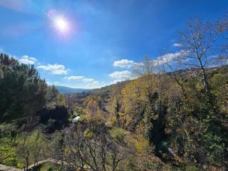 faraya à 10 minutes, neige, ski, coin feu - 7