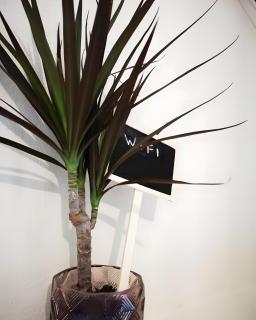 Lithino Villas In Stoupa, Mani - 3