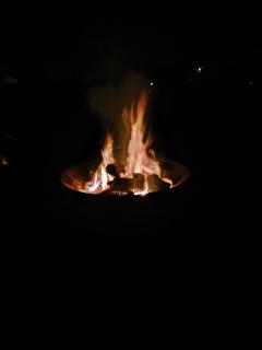 La Cabane du Grand Chêne - Logement insolite, bain nordique & piscine - 1