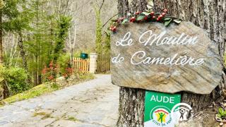 Le moulin de cameliere - Caudebronde - 6