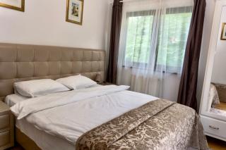 Apartament Stanca Piticului - 6