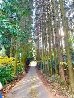 Elegant Private Villa in Kumamoto Natural Park - 6
