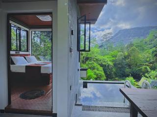 Rainforest cabin - 5