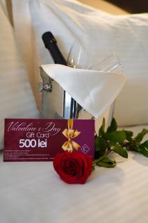 Caprioara Spa&Wellness Resort - 5