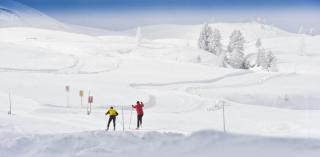 Hotel Garni Grünmoos - 1