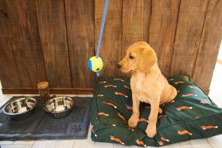 Oak Shepherds Lodge - 1