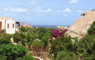 Rocce e Mare - Porto Cervo - 6