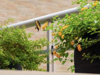 ibis Styles Belem Nazare - 7