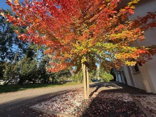 Aux Peupliers de Pradian - Alba - 8