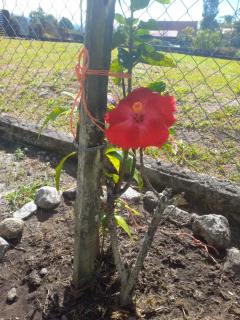 Affordable Unique Hot Cold Water Studio - 2