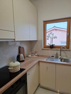 Terrace Apartmani - 1