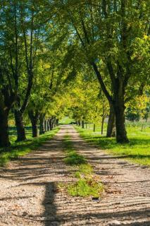 Domaine familial la marjoline - 0