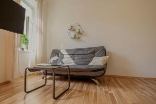 Beautiful 1BR Apt in Prime Central Location - 4