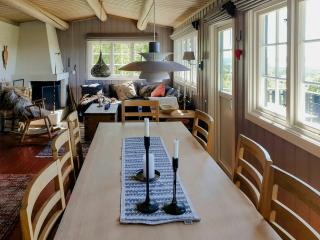 Mountain Cabin With Views Over Storevann - Hemsedal - 4