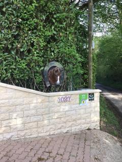 au fer à Cheval - 5