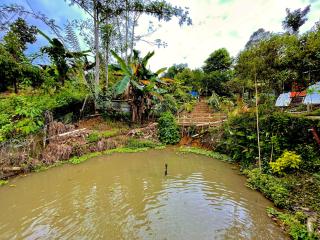 DA Family Mini Garden - 6