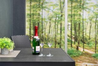 Haus Birkenösch - 9