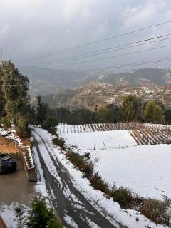 Shalom Hillcrest Inn - 9