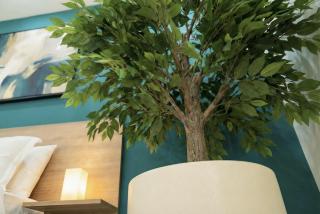 Radsum- Luxury Farm & Resort - 4