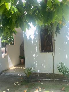 Oxe TonaBahia Tséra - 4