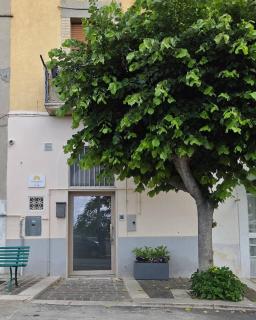 Sole Nascente - 4