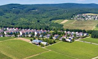 Weingut Freimuth - 4