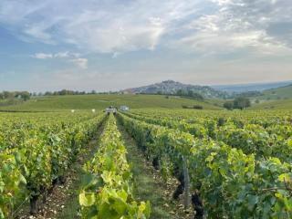 Le Petit Sancerrois - 2