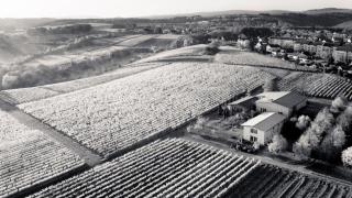 Weingut Freimuth - 0