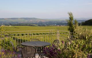 Weingut Freimuth - 2