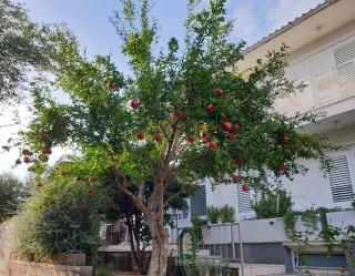 Orebic BnB - Orebić - 3