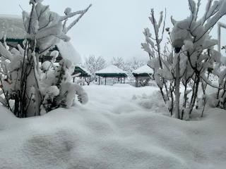 Hotel Celebriti Inn by London vista Hotels - Old Manali - 9