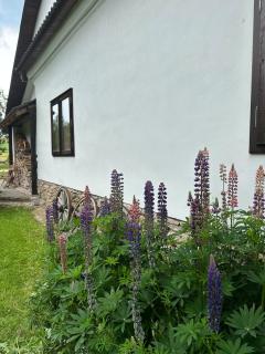 Chalupa Svratouch - 1