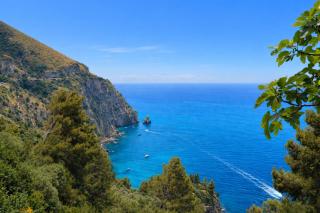 La Torre tra gli Ulivi di Positano - 8