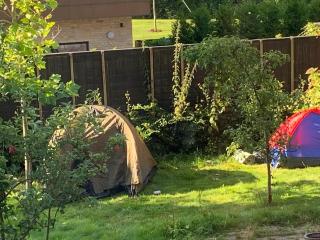 Lovely bright basement apartment with tea kitchen - 1