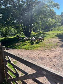Cosy Studio on the Mendip Way - 8