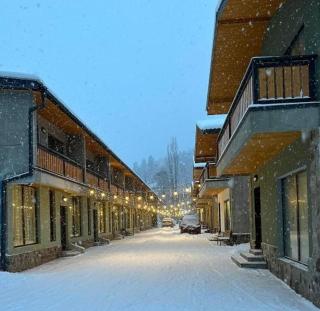 Greenfield Bakuriani, Mountain Villas & Homes - 9