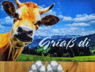 Gästehaus Stolzalpe - 2