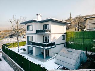 Terrazzo Sapanca - Isıtmalı Havuzlu Villa Verde - 2